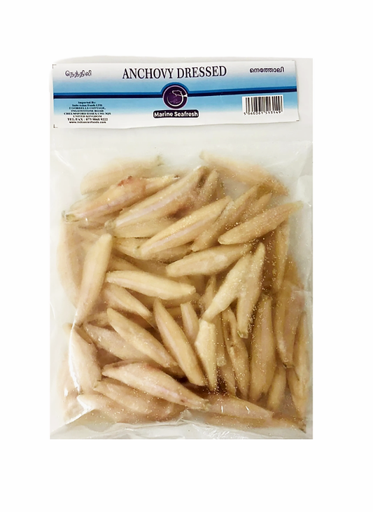 Anchovy (Medium)